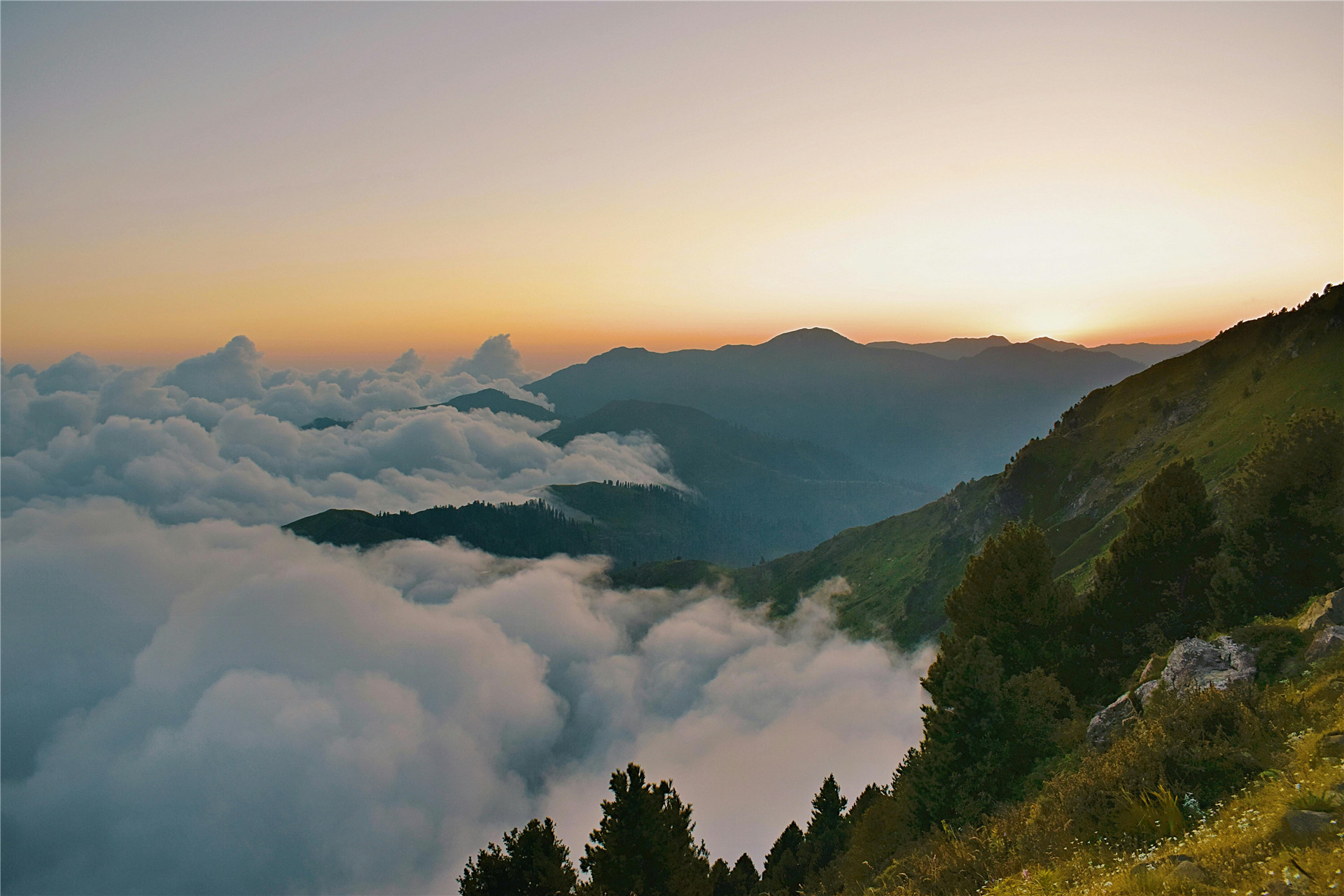 美丽的风景